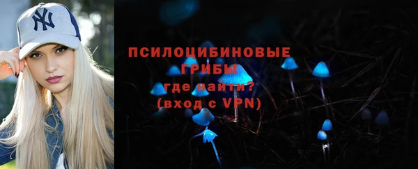спиды Богданович