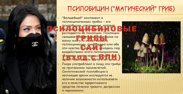 спиды Богданович
