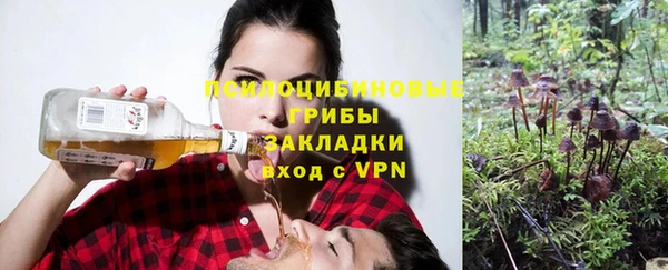 кокс Богородицк