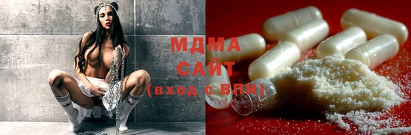индика Белокуриха
