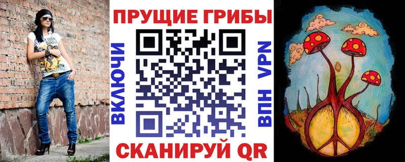 ОМГ ОМГ ТОР  нарко площадка телеграм  Галлюциногенные грибы GOLDEN TEACHER  хочу наркоту  Няндома 